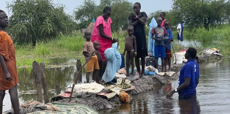 Education & Literacy